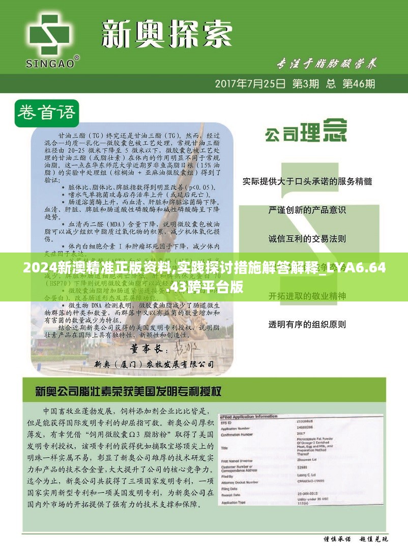 2024精准正版资料|精选解释解析落实