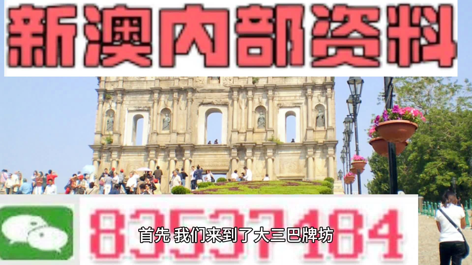 新澳精准资料免费提供|精选解释解析落实