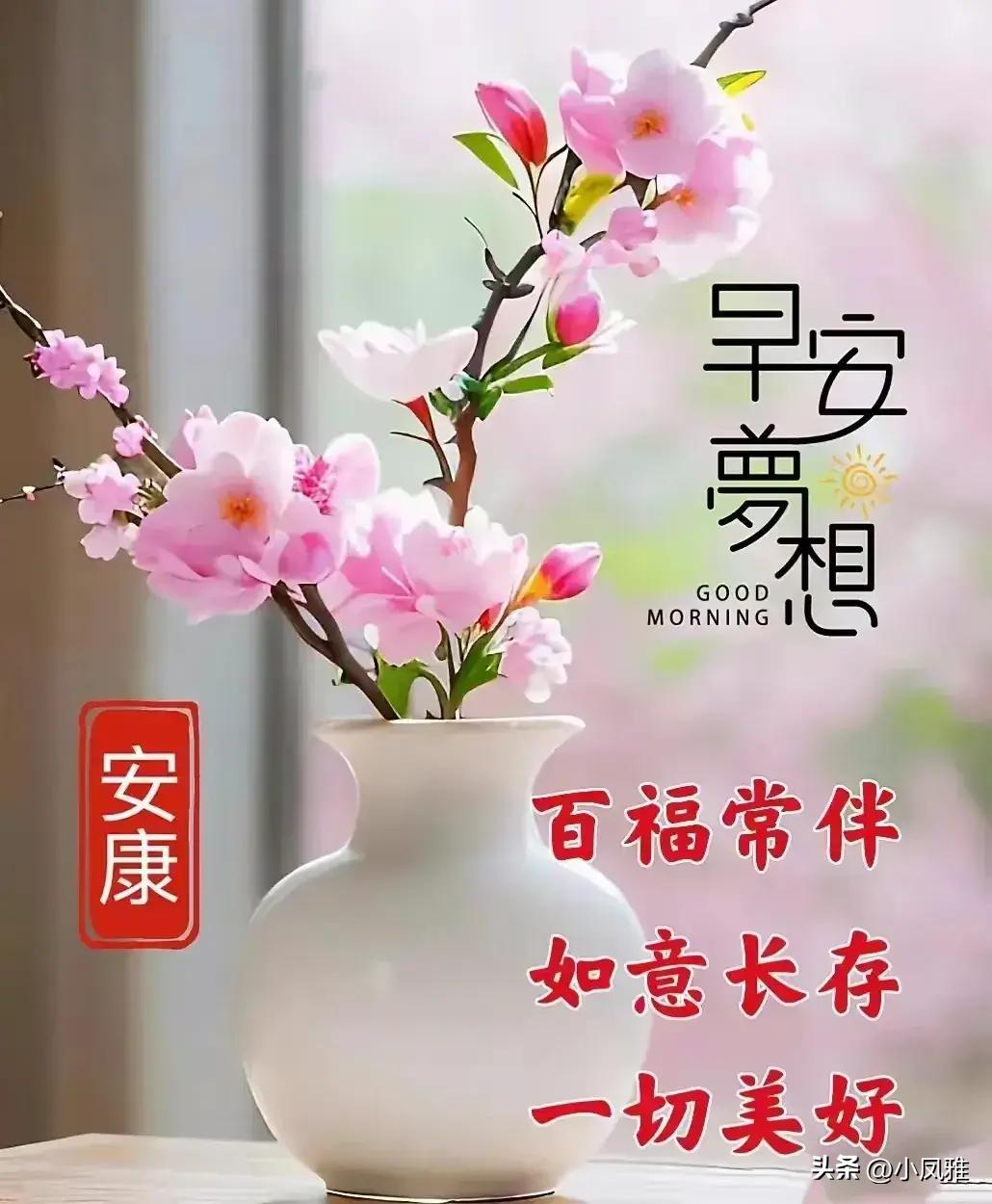 2024免费天天彩资料汇总600|精选解释解析落实