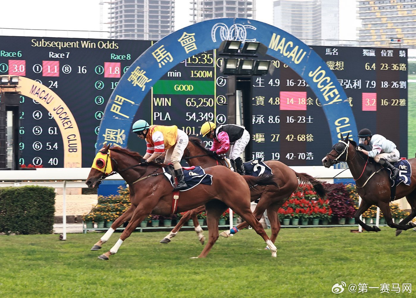 看香港正版精准特马资料|精选解释解析落实