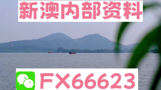 2024新澳资料大全最新版本亮点|精选解释解析落实