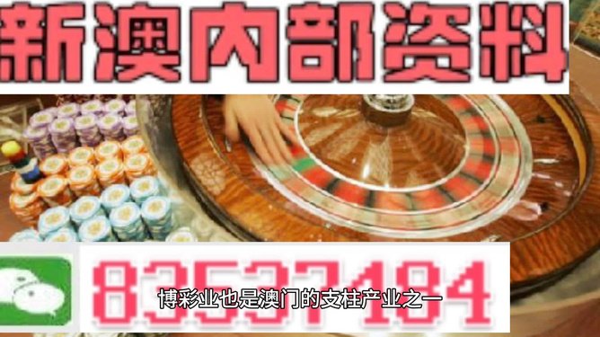 新澳门精准资料免费提供|精选解释解析落实