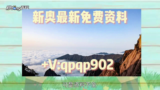 2024新澳精准资料免费提供网站|精选解释解析落实