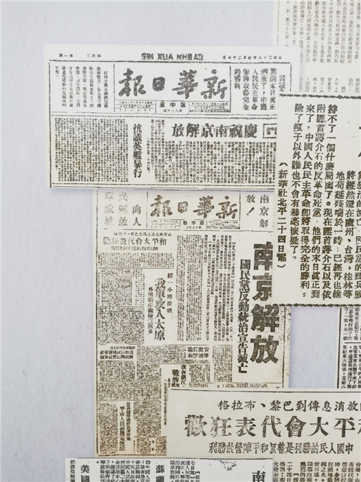 2024新澳门跑狗图今晚特|精选解释解析落实