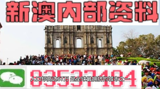 2024澳门精准四不像正版|精选解释解析落实