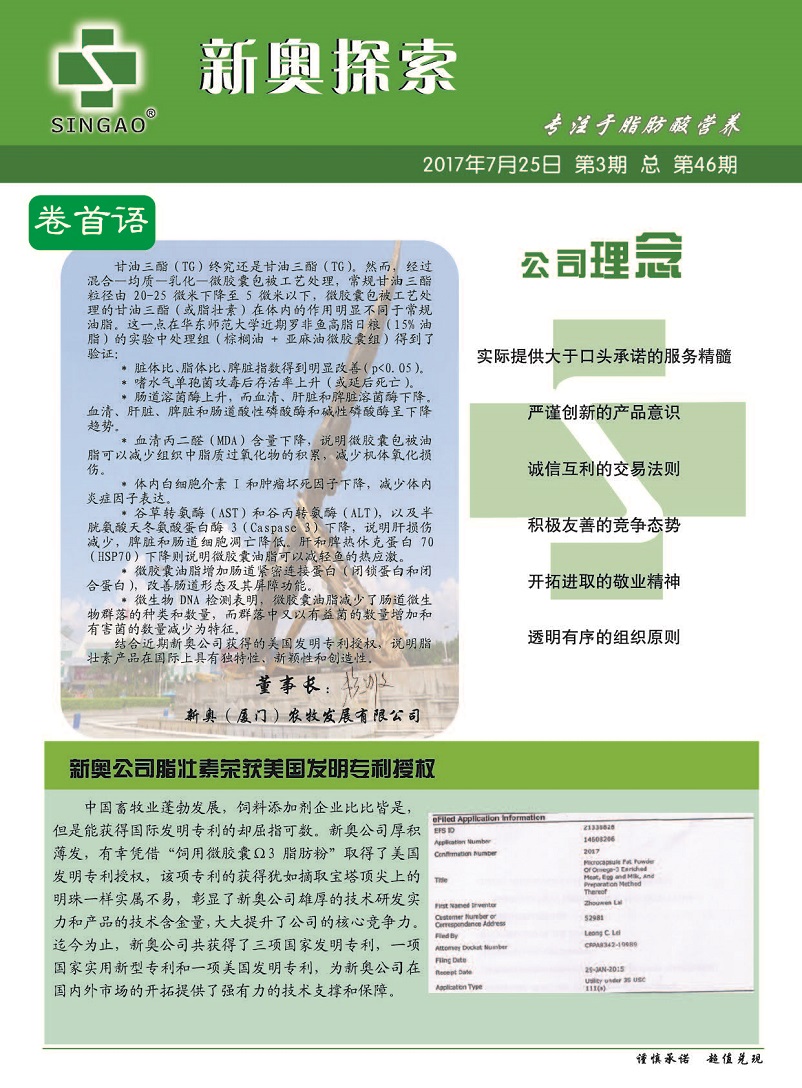 揭秘新奥精准资料免费大全 078期|精选解释解析落实
