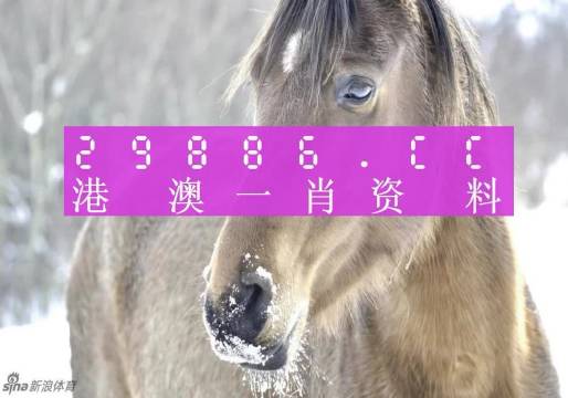 澳门一肖一码100%准吗|精选解释解析落实