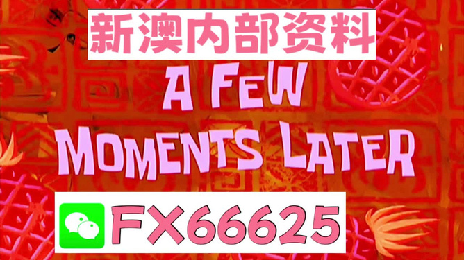 新澳精准资料免费提供最新版|精选解释解析落实