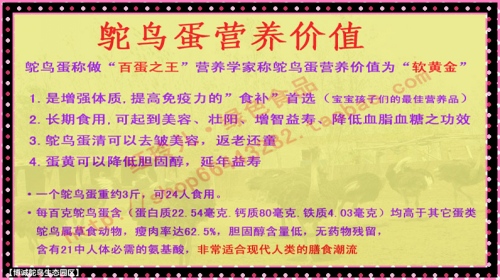 澳门黄大仙特马资料|精选解释解析落实