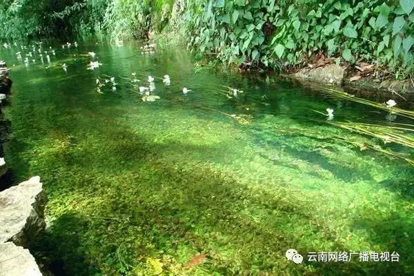 滇中新区嵩明最新消息