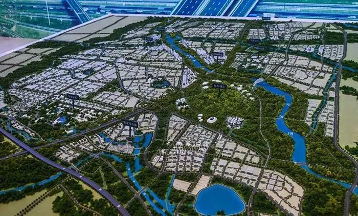 热门 第85页