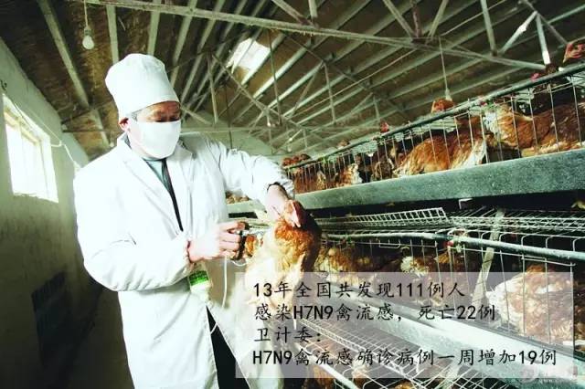 推荐 第81页