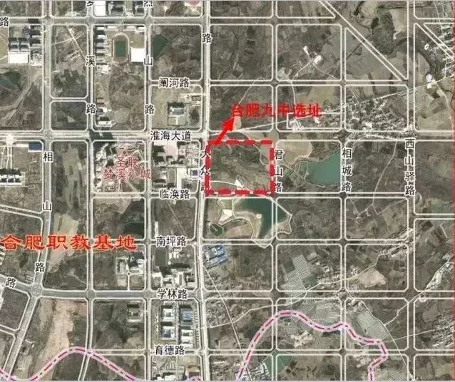 热门 第75页