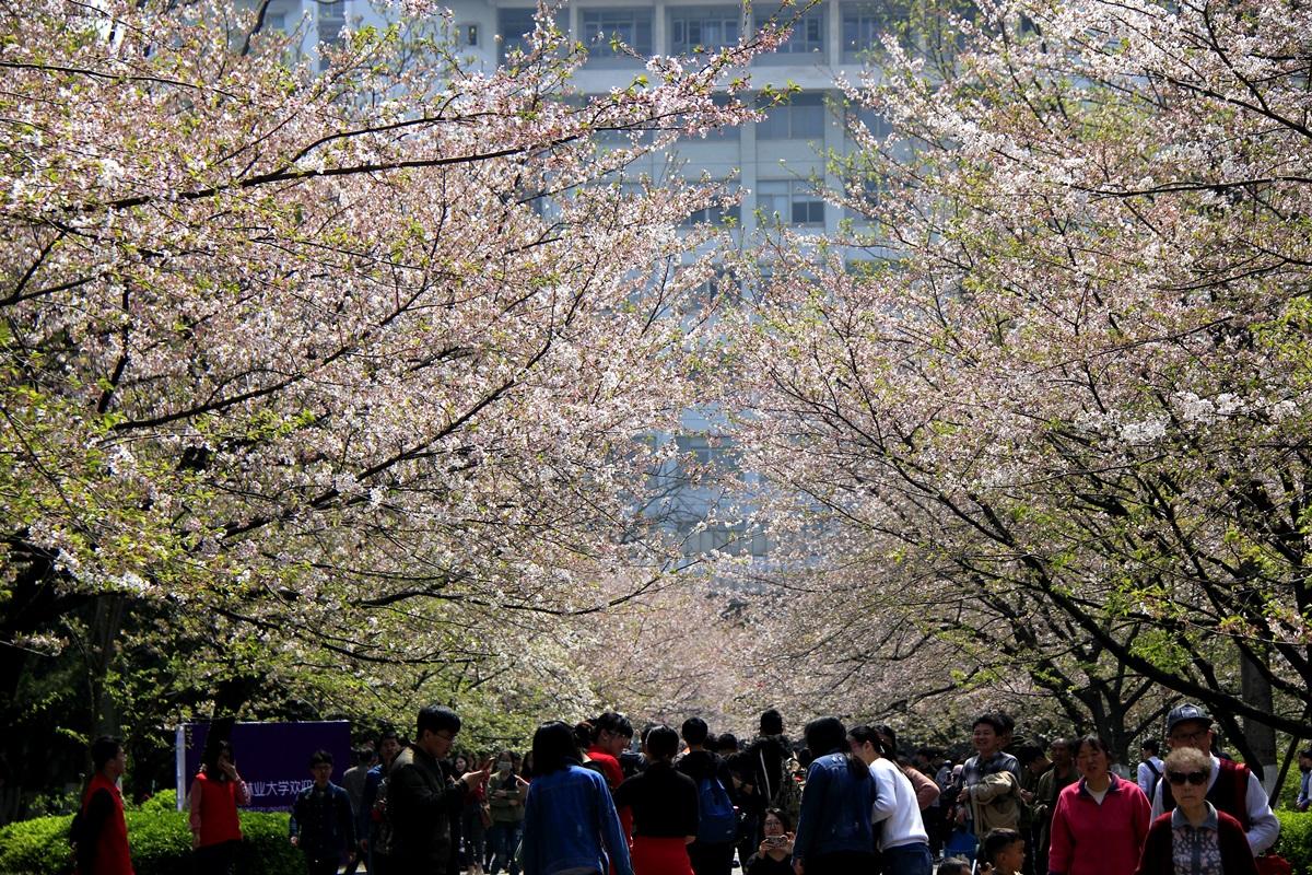 南京一死六伤最新消息