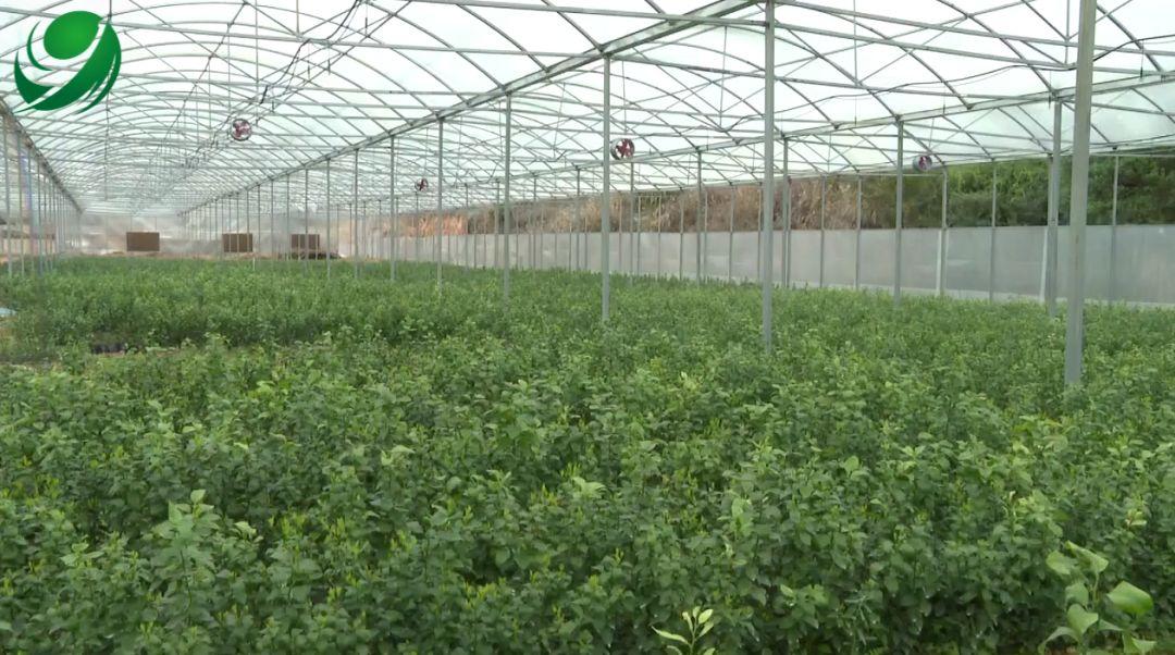 闽南人才网最新招聘信息