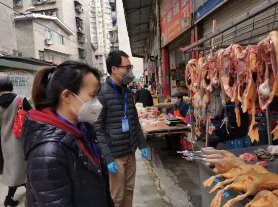 多宝鱼市场最新新闻