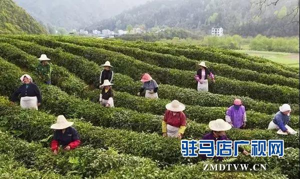 信阳市内最新招聘信息
