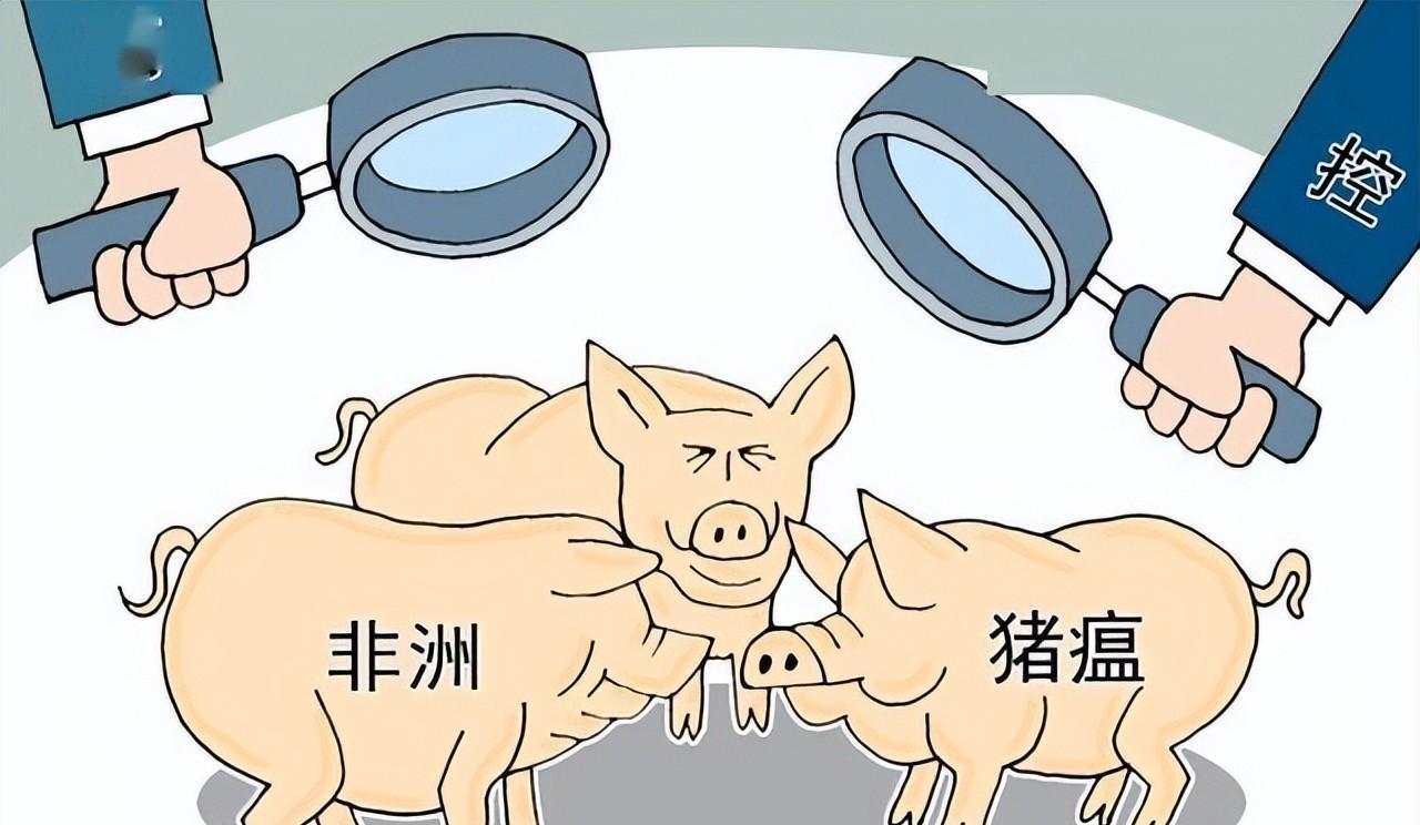 生猪期货上市最新消息