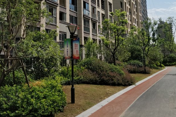 财经 第36页