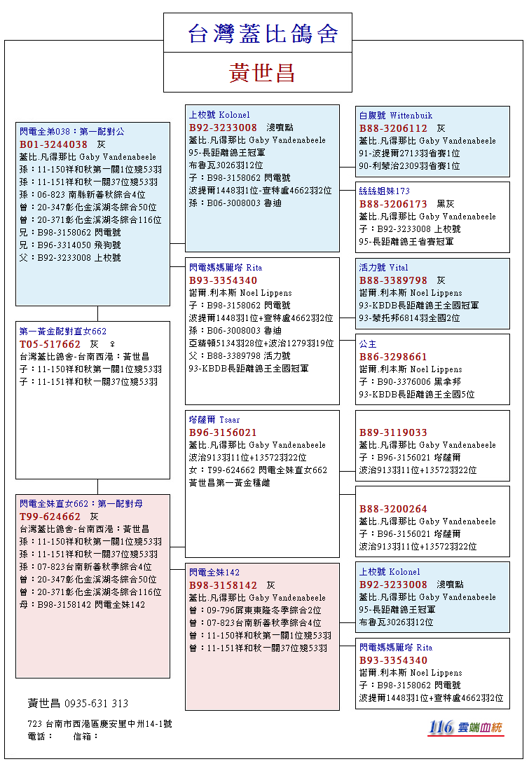 最新台鸽网一口价专区