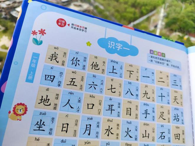 最新一年级的识字小报