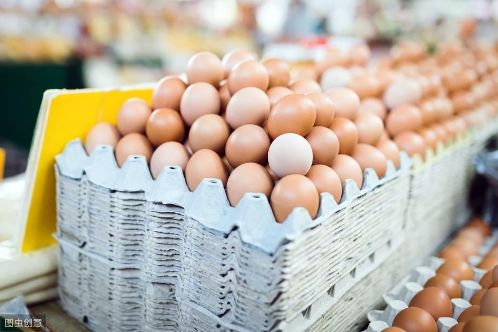 肉毛鸡价格最新行情走势