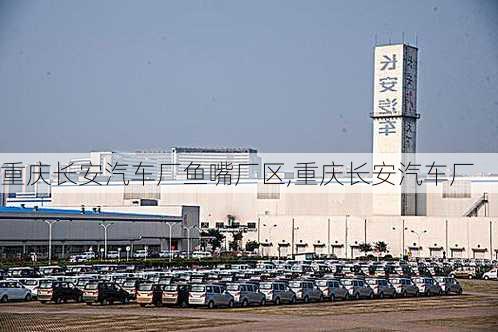 鱼嘴长安汽厂最新招聘