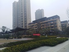 汉口郡二期的最新照片