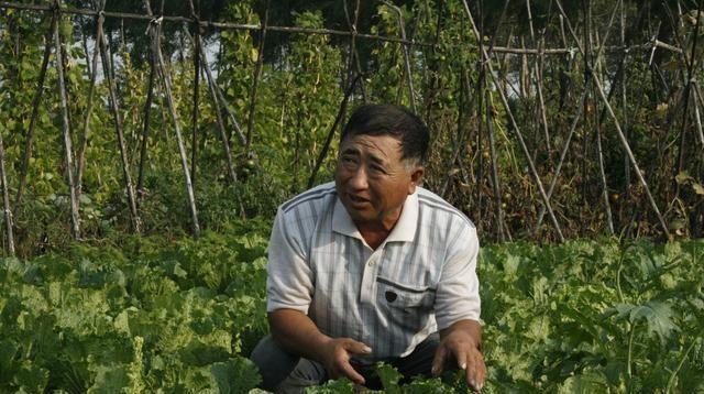2020年的最新土地管理法