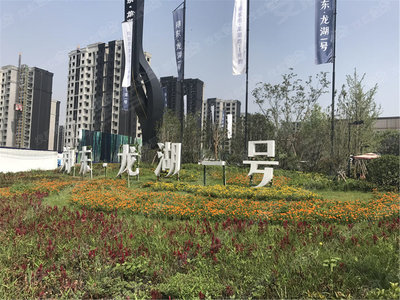 郑东龙湖一号最新进展