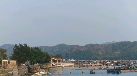 陆丰乌坎最新消息微博